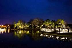 防疫抗疫,负重前行,太阳能路灯厂家牛气冲天,犇起来!!!